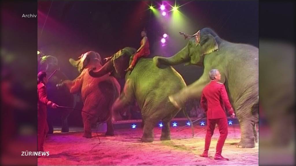 Verdrängt modernes Knie-Programm traditionellen Zirkus?