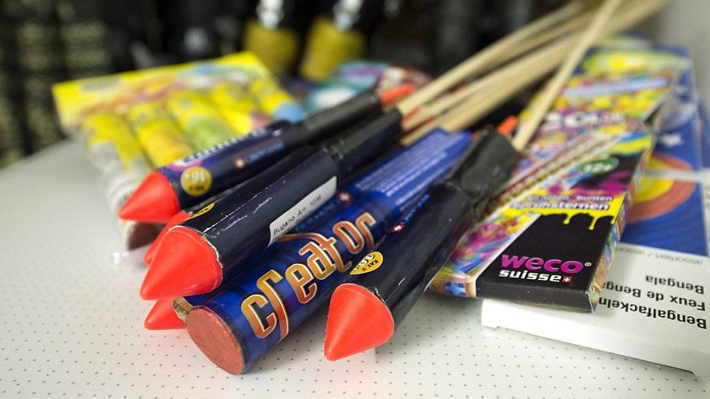 Initiative will Feuerwerk an Feiertagen verbieten