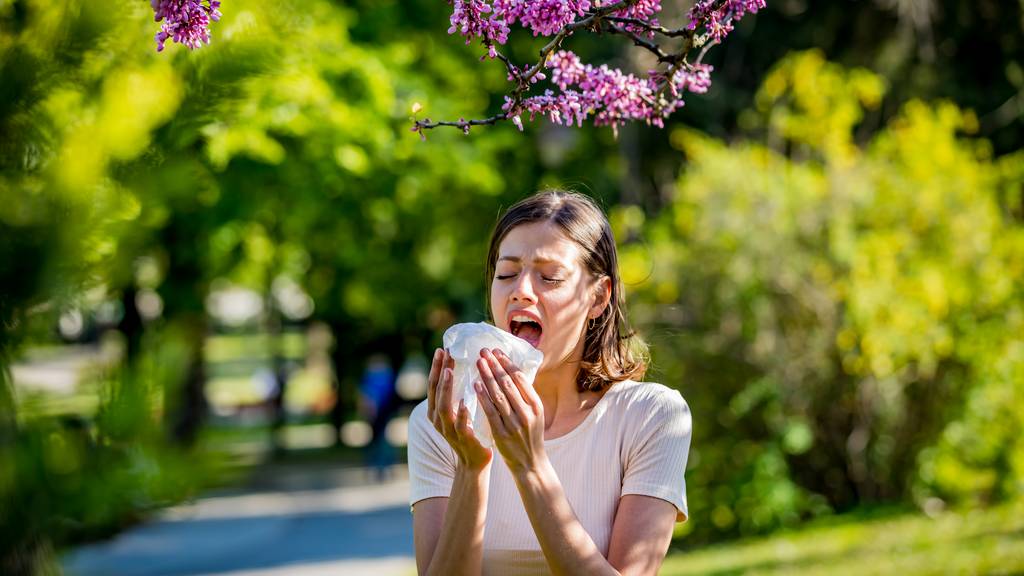 Neuer Allergietest sagt Therapieerfolg zuverlässig voraus