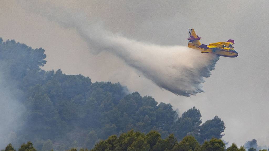 Rund 1.000 Menschen wegen Waldbrandes in Spanien evakuiert