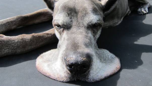 58bec0d511b39_WDH4hjL-png__605