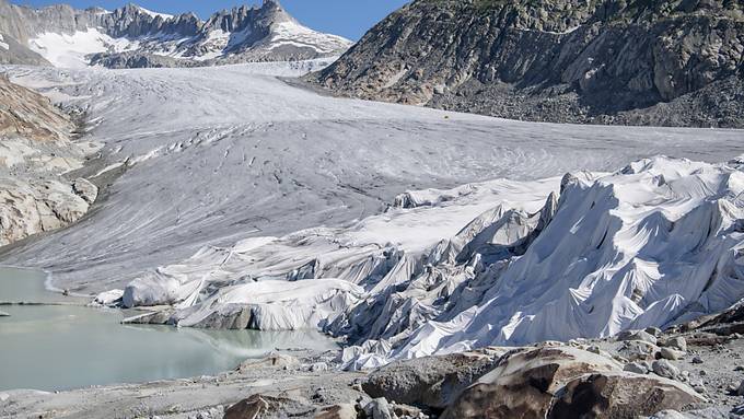 Gletscher-Viren in Alpen und Arktis bemerkenswert ähnlich