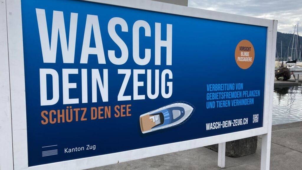 Luzerner Kantonsparlament will schärfere Vorschriften gegen Quaggamuschel