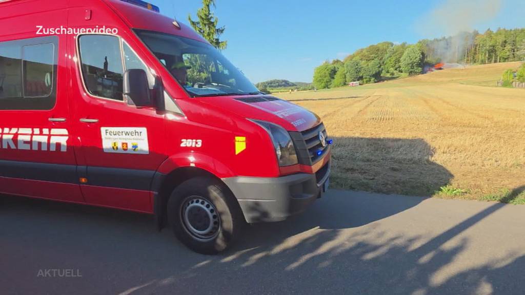 Wegen Trockenheit: Nebst Bränden sind auch herunterfallende Äste eine Gefahr
