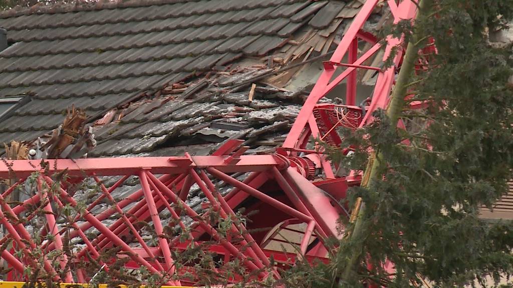 Baukran in Meilen eingestürzt