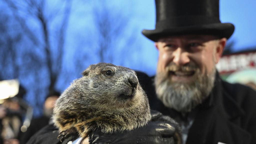 Amerikas berühmtes Wetterorakel: Murmeltier Phil. (Archivbild)