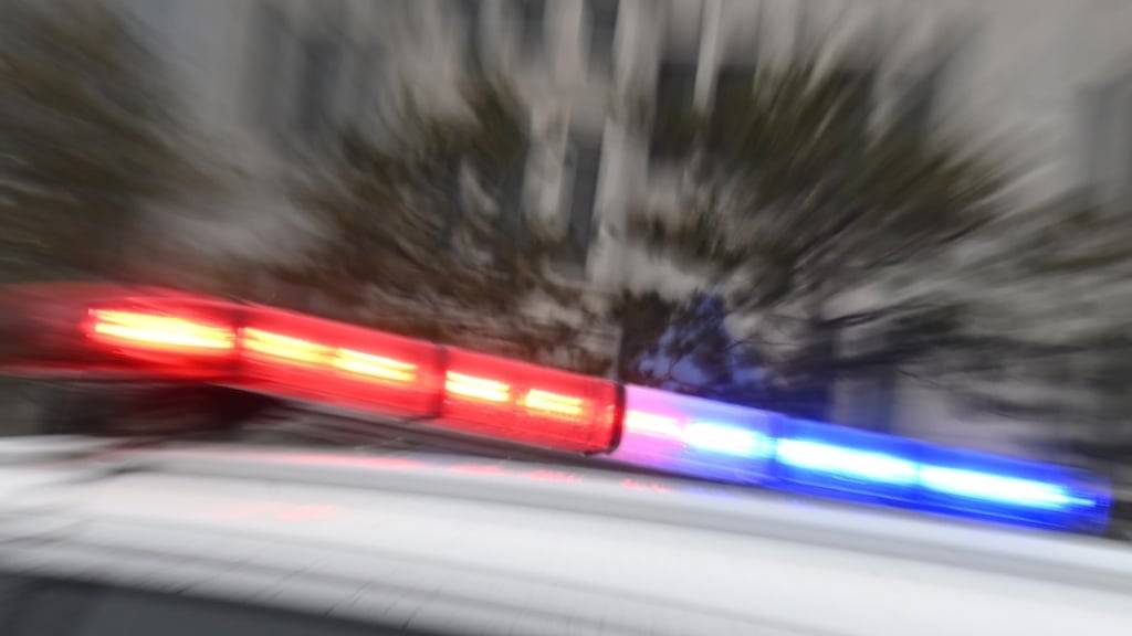 ARCHIV - Auf einem chinesischen Polizeiwagen blinkt ein Blaulicht (Archivbild). Foto: Johannes Neudecker/dpa