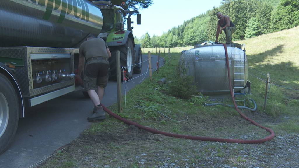 Wegen Trockenheit kehren Schwyzer Älpler früher ins Tal zurück