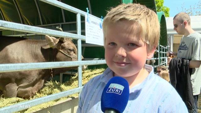 Zusammenfassung Sportsonntag