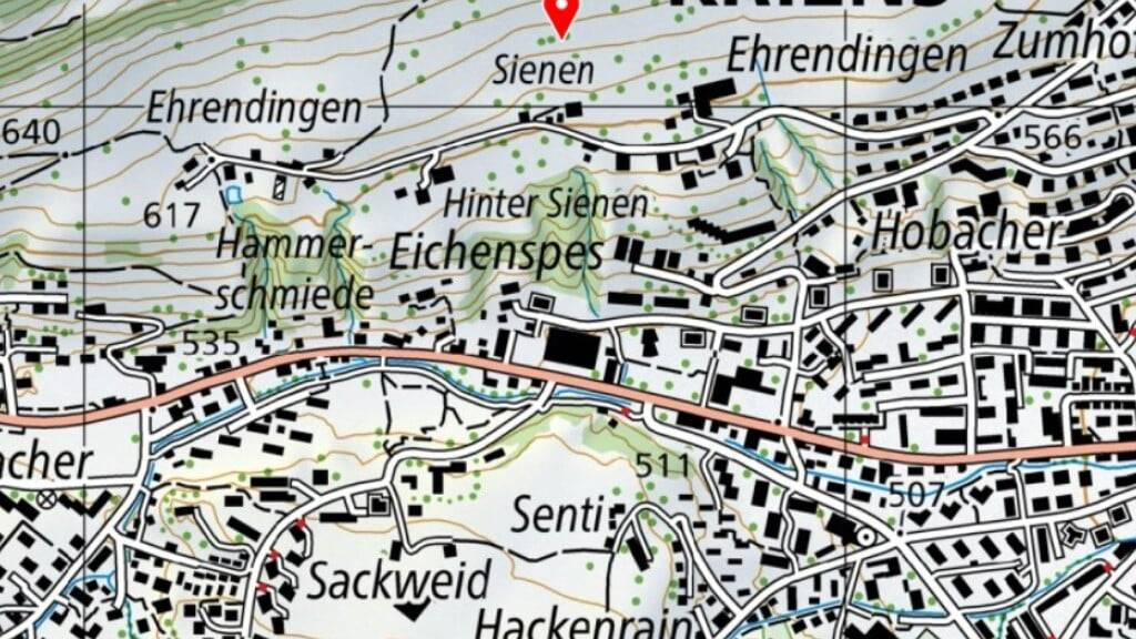 Der Sienenbach fliesst vom Sonnenberg ins Siedlungsgebiet.