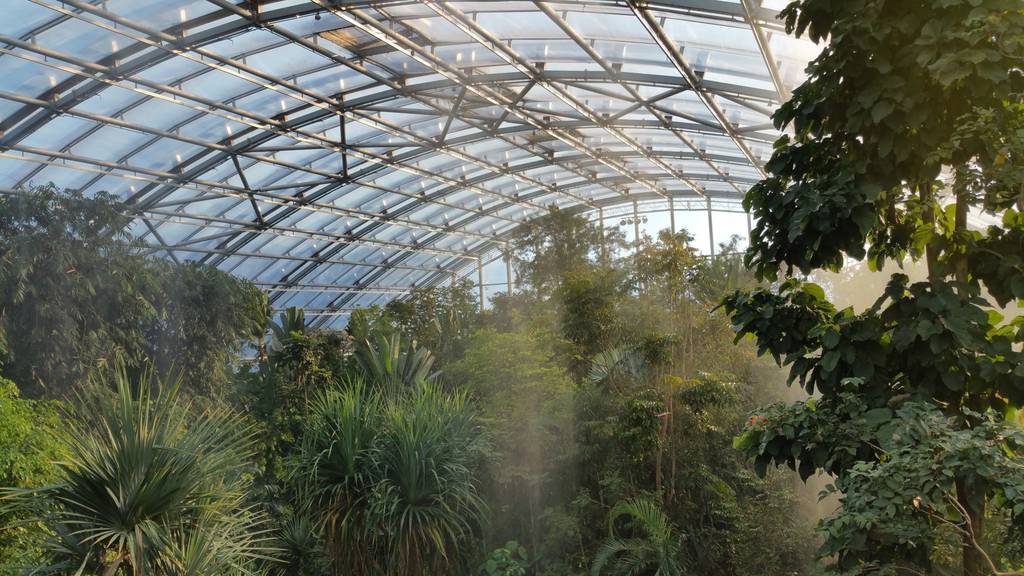 Masoala Regenwald Zoo Zürich checkt us 2026