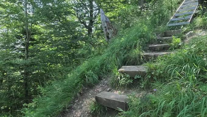 Vorschau 6 Wochen - 6 Kantone