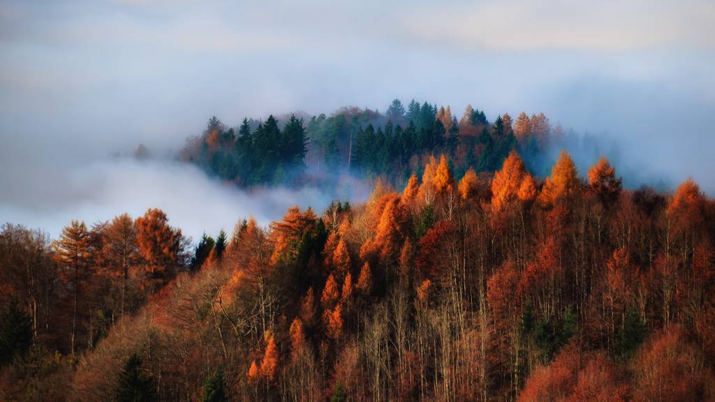 So findest du den schönsten Herbst in der Schweiz