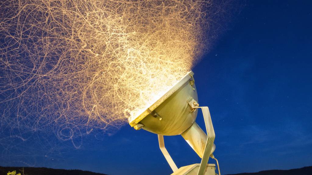 Eine neue Studie zeigt, warum Insekten Nachts zum Licht fliegen. (Archivbild)
