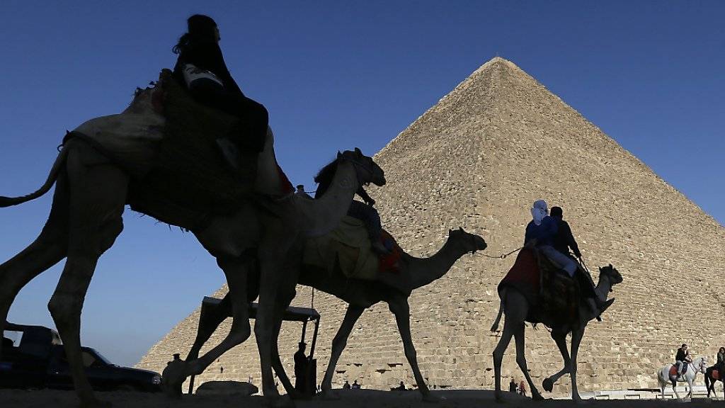Was für Ägypten-Touristen ein Traum, ist für die Tiere um die Pyramiden von Gizeh bei Kairo die Hölle.