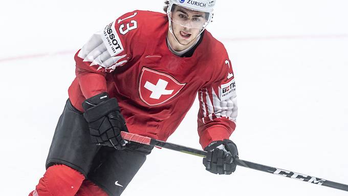 Vier NHL-Söldner verstärken Schweizer Team