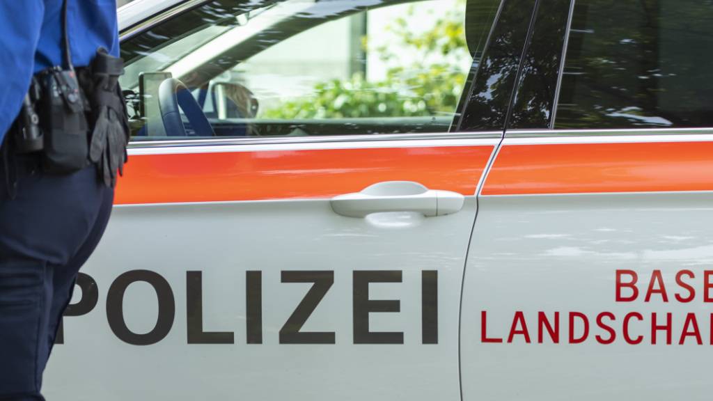 Auf der Autobahn A2 in Muttenz hat sich am frühen Sonntagmorgen ein schwerer Verkehrsunfall ereignet. (Symbolbild)