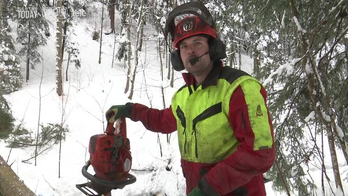 Förster fällen Baum um Baum für sichere Strassen