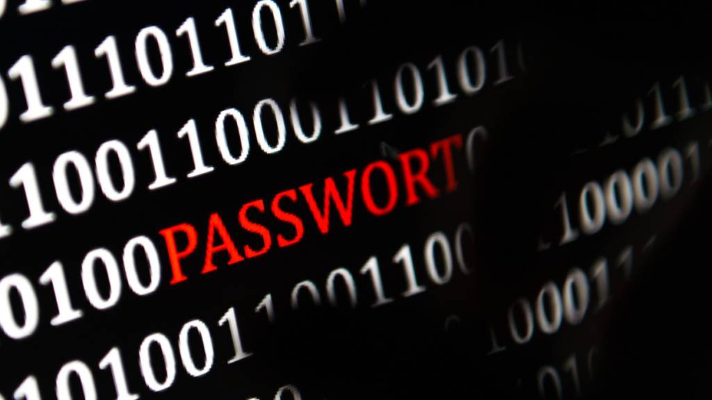 Einige Hersteller von Passwortmanagern bewerben ihre Produkte mit falschen Sicherheitsversprechen. Das konnte eine Forschungsgruppe der ETH nun zeigen. (Archivbild)