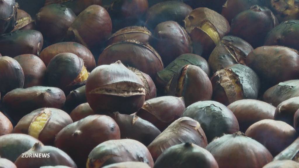 Warmer Herbst sorgt für Marroni-Krise