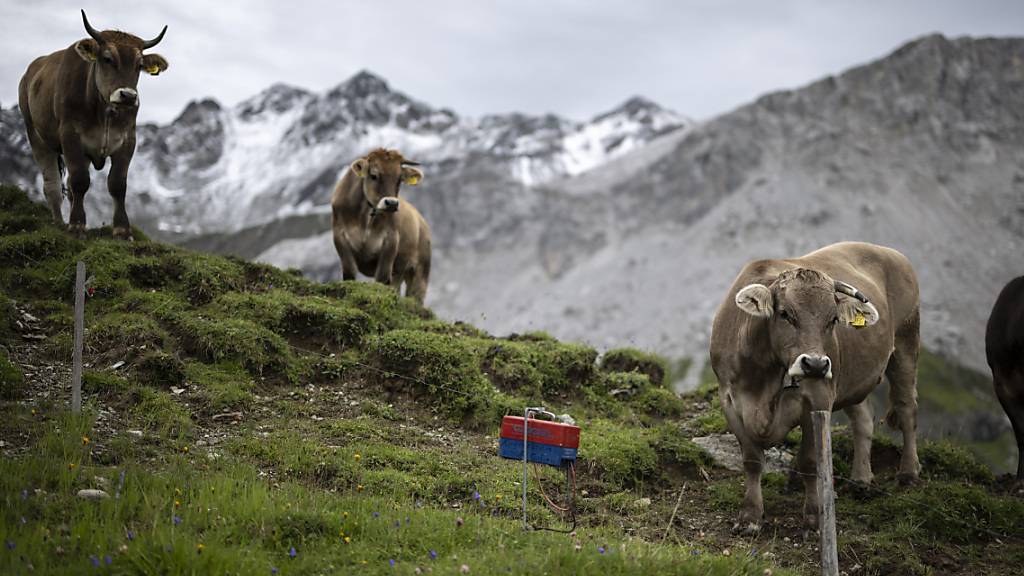 Die Unesco hat die Schweizer Alpsaison in die Liste des immateriellen Kulturerbes der Menschheit eingetragen. (Symbolbild)