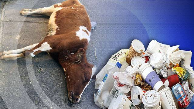 Dienstag, 23. Oktober 2018 — Ganze Sendung'