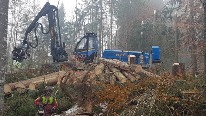 Aufräumarbeiten dauern noch bis Frühling