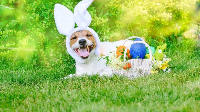 Was weisst du über Ostern?