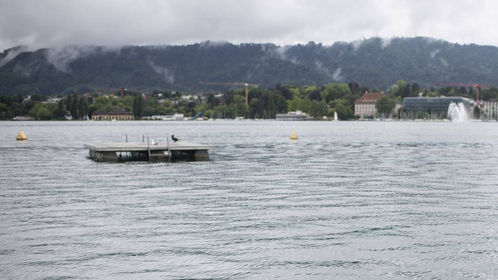 Polizei birgt tote Person aus Zürichsee