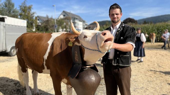 Geschmückte Kühe: Viehschau in Konolfingen sorgt für glänzende Augen