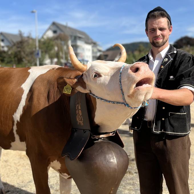 Geschmückte Kühe: Viehschau in Konolfingen sorgt für glänzende Augen