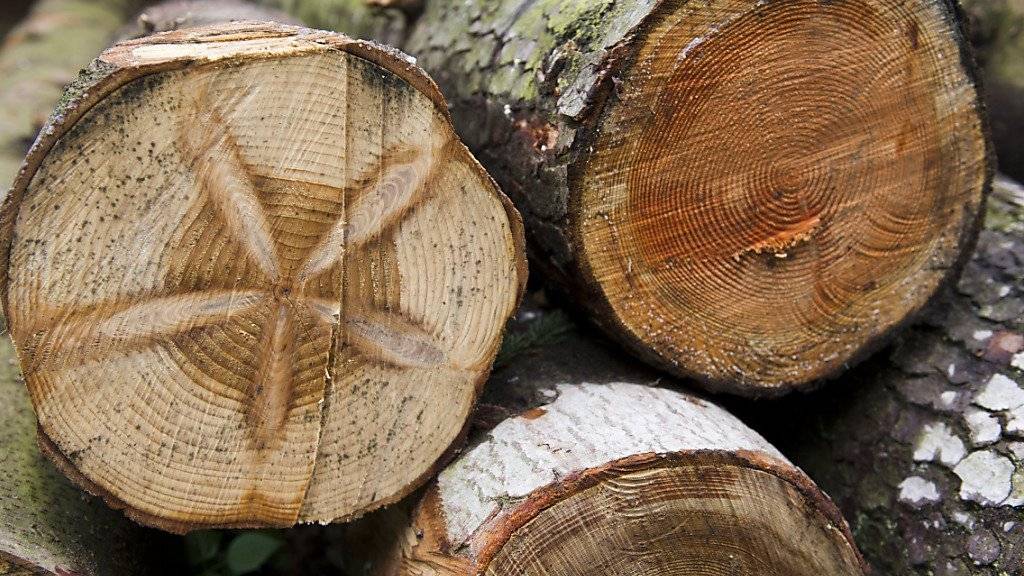 Nicht nur zum Bauen oder als Brennstoff: Holz soll künftig auch Quelle für wichtige Grundchemikalien werden und dabei Erdöl ablösen. (Archivbild)