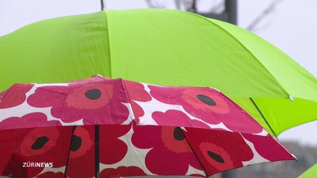 Klimafonds-Initiative: Nach Unterschriftensammlung entscheidet jetzt das Volk