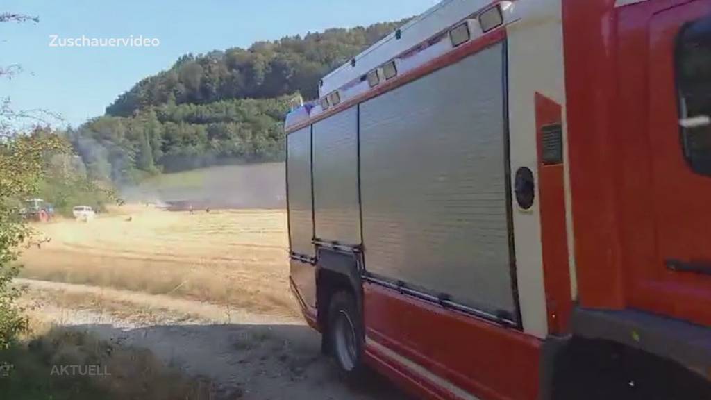 Besorgte Landwirte: Die Trockenheit wird brekär. Landwirte rechnen mit grossen Einbussen