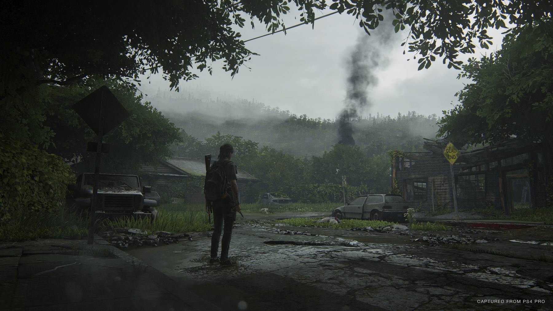 Last of Us Screenshot 3