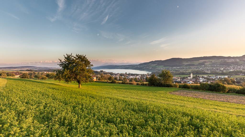 Blick vom Eichberg Seengen über den Hallwilersee.