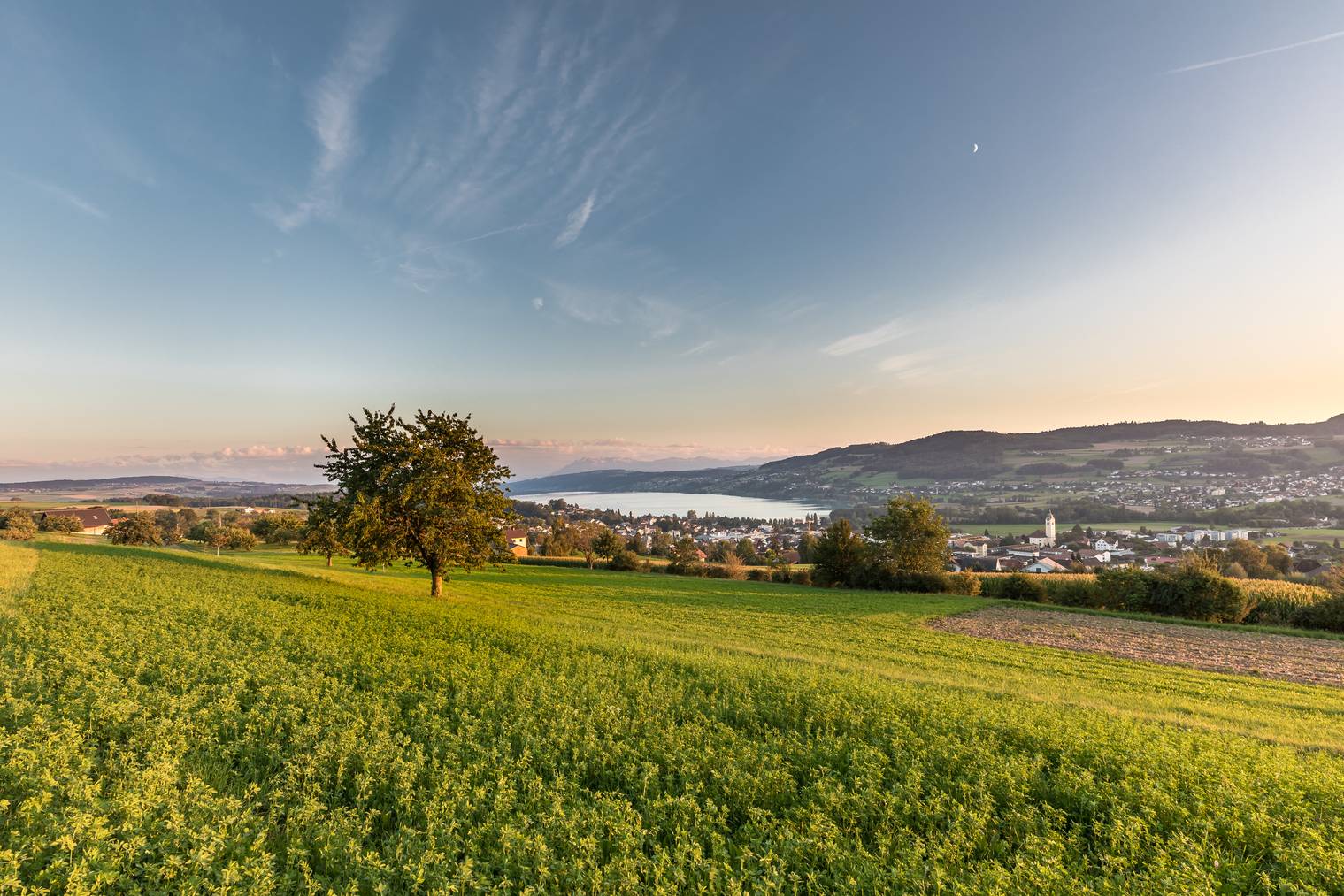 Blick vom Eichberg Seengen über den Hallwilersee.