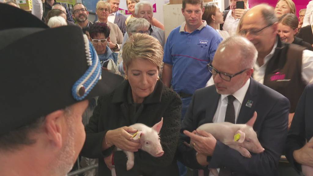 Die 80.Olma ist eröffnet!