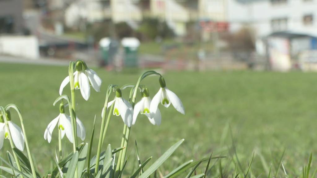 Saisonbilanz: Kleine Skilifte in der Region schauen bereits auf den Winter zurück
