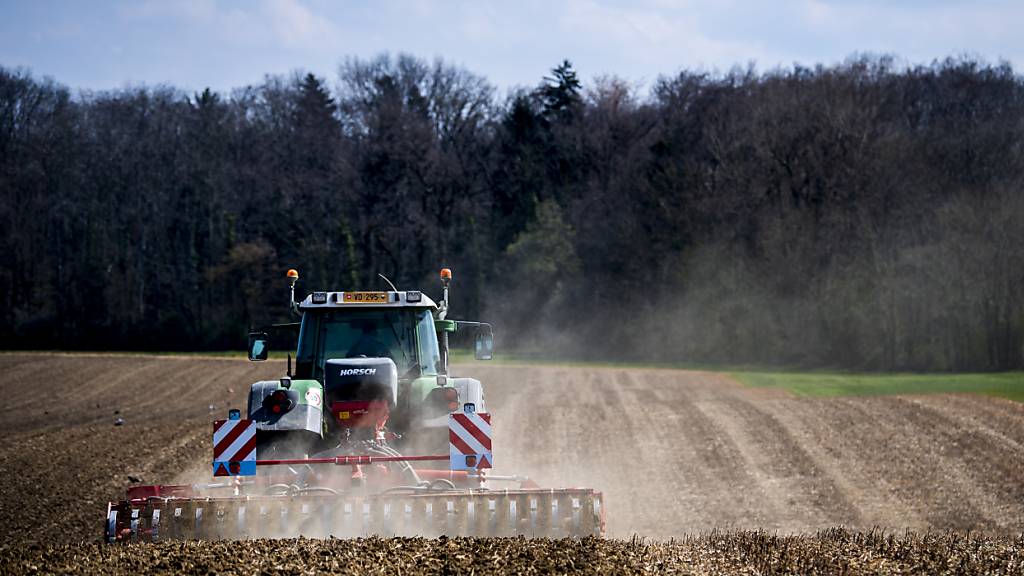 Auch die Landwirtschaft soll, geht es nach dem Bundesrat, einen Sparbeitrag für die Entlastung des Haushalts leisten. (Archivbild)