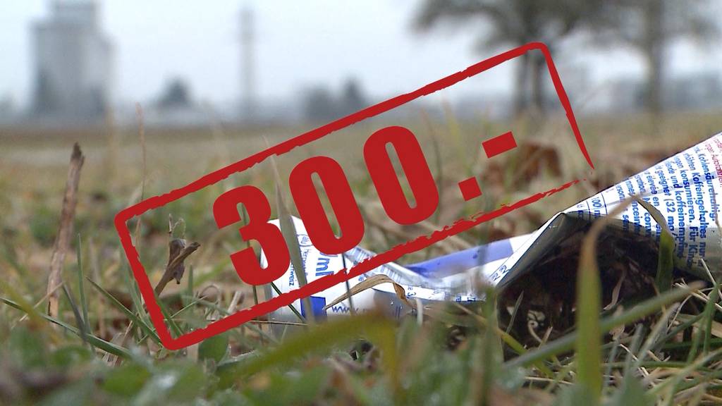 Littering soll im Aargau künftig 300 Franken kosten