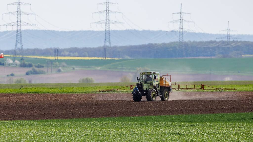 Bäuerinnen und Bauern in der EU werden bei der Erfüllung von Umweltvorschriften mehr Flexibilität zugestanden. (Archivbild)