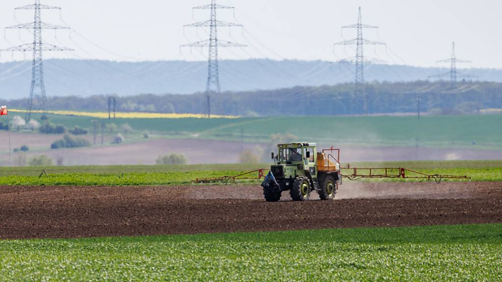 EU-Parlament stimmt schwächeren Umweltauflagen für Bauern zu