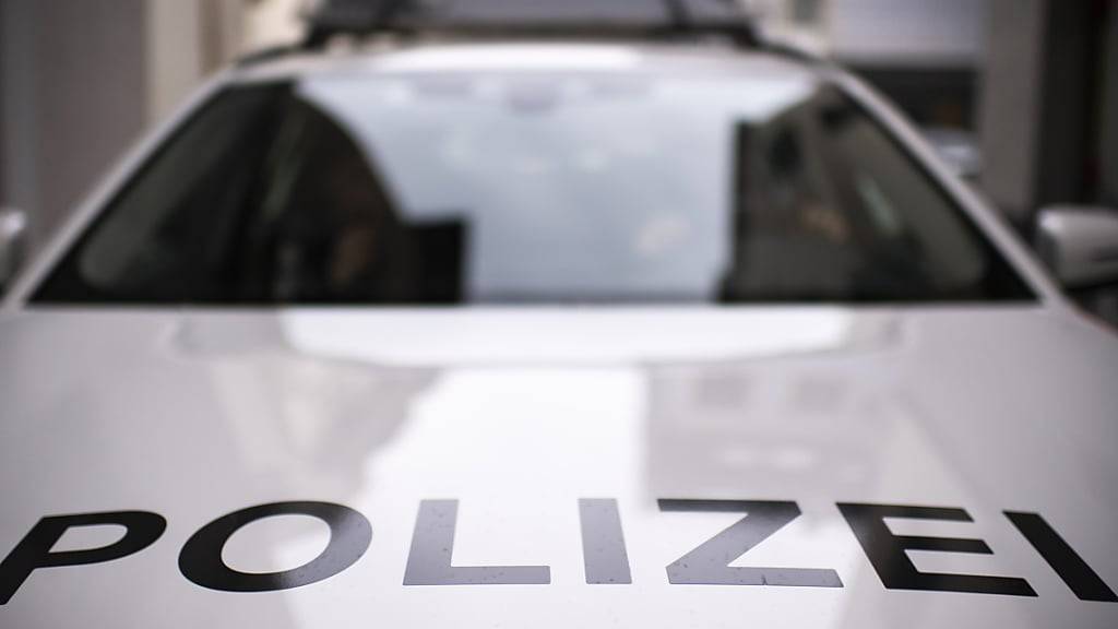 Gemäss Kantonspolizei St. Gallen erbeuteten Diebe in einem Geschäft in Wil SG zahlreiche Handys. (Symbolbild)