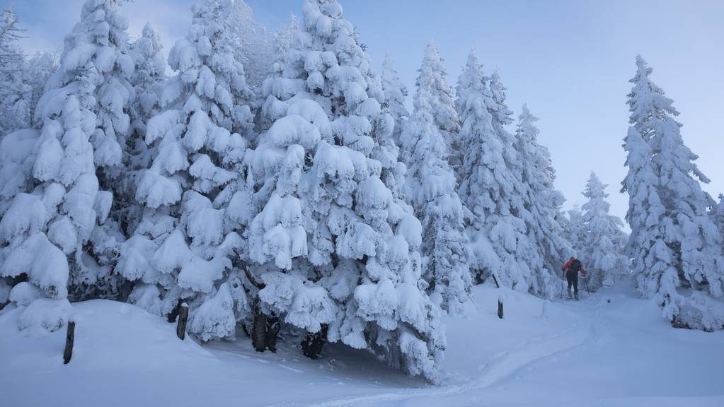 Schnee Schweiz