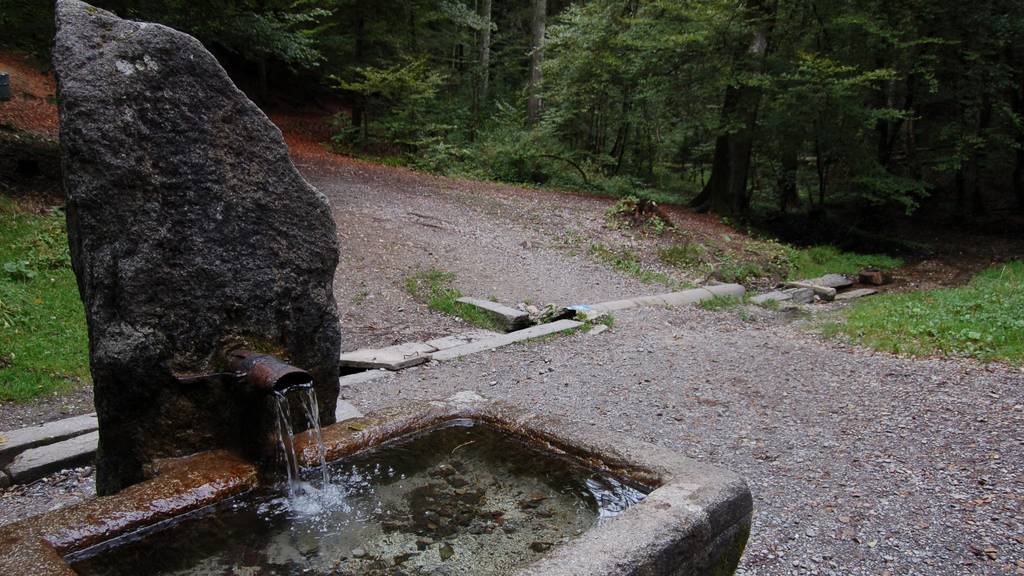 Glasbrunnen im Berner Bremgartenwald abgestellt