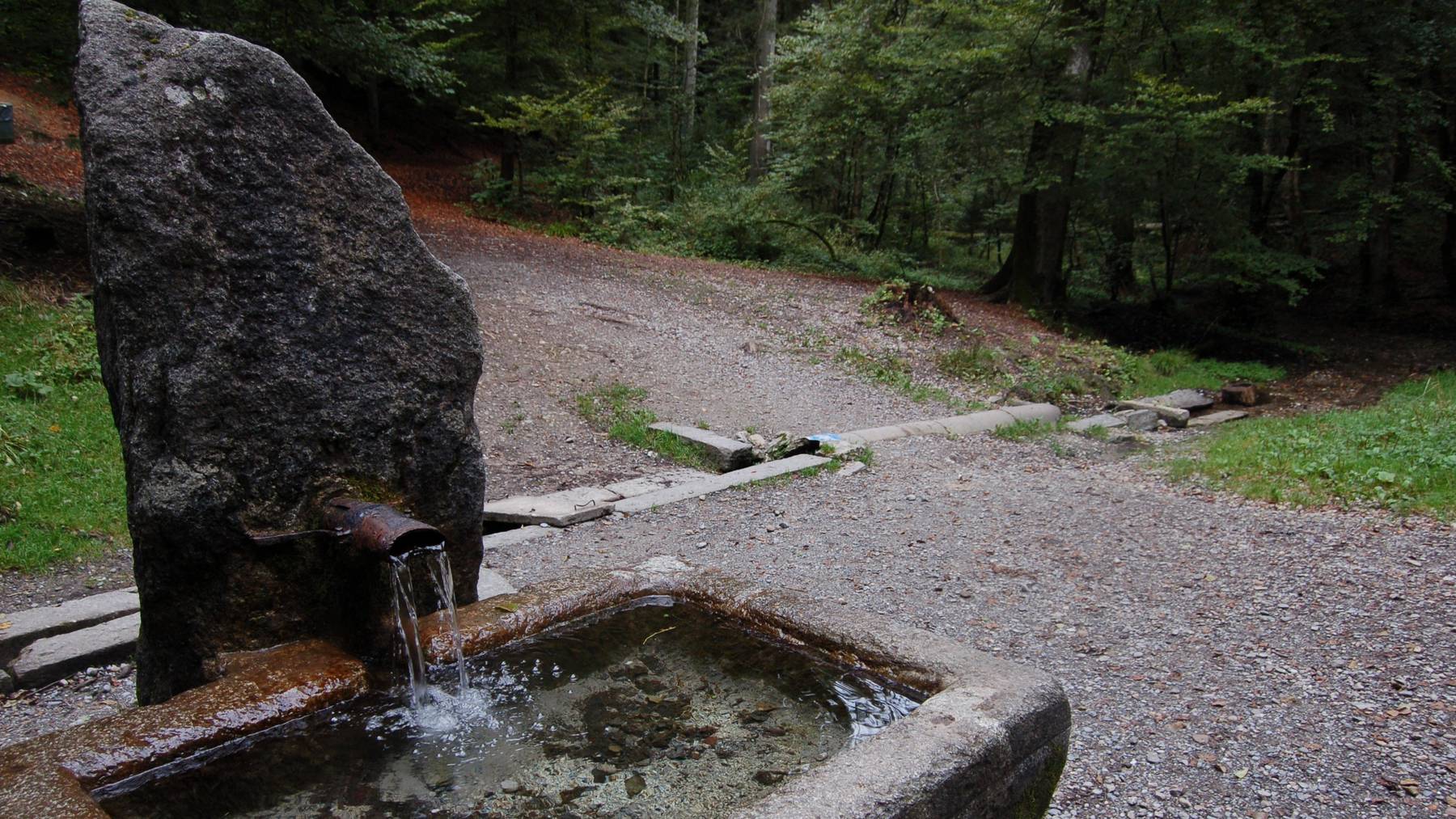 Aus dem Glasbrunnen im Berner Bremgartenwald sollte zurzeit nicht getrunken werden.