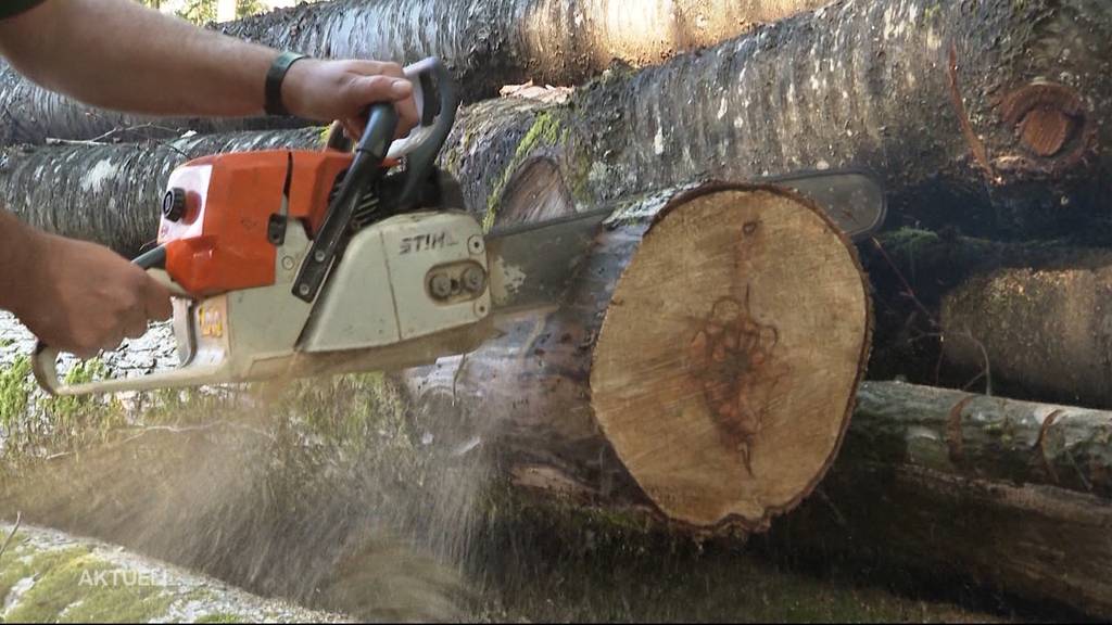 Wegen Energiekrise: Schweizer Holz ist so beliebt wie schon lange nicht mehr