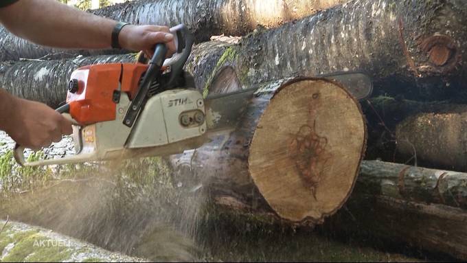 Gibt es jetzt einen Run auf Wärmepumpen und Holz?