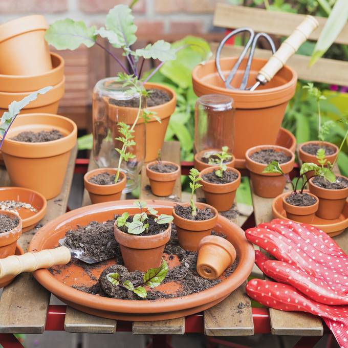 Diese Vorbereitungen lassen deine Balkonpflanzen am Leben